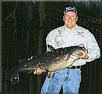 Big catfish