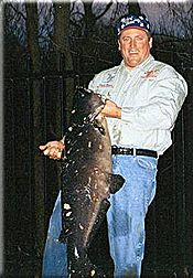 Big catfish
