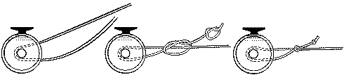 The Arbor Knot