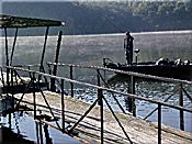Denny Brauer jig fishing