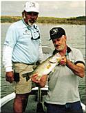 Bait Colors