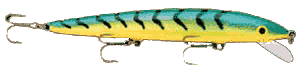 The Husky Jerkbait