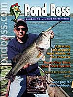 Giant Largemouth Bass