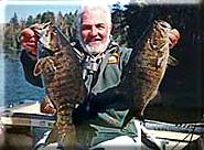 sunny weather bass