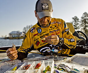 Best Baits