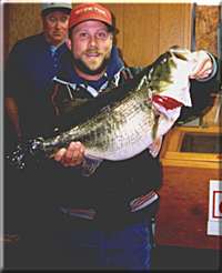 lunker bass