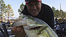 Bass Fishing Pros