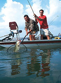 Bass Tournament