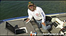 Fish Care In The Livewell