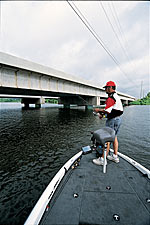 Drop-shot rig or shaky head fishing