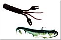 Basstrix and Chubby Craw