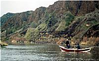 River smallmouth