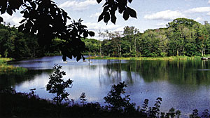 Clean Water
