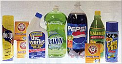 Boat Cleaners