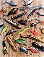 Lure Colors