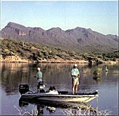 Crankbait fishing