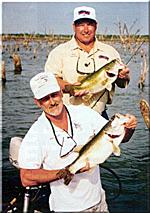 Spinnerbaits, Crankbaits, Topwaters