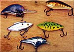 Assorted Crankbaits