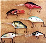 Assorted Crankbaits