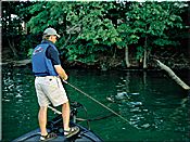 Fishing crankbaits