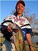 Big crankbait bass