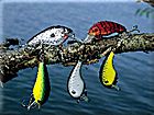 Crankbaits