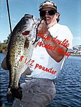 Big Bass
