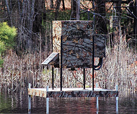 Bass Feeder