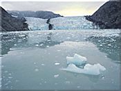 In extremely cold water, basic human functions slow quickly and dramatically.