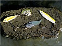 Jigging spoons, blade baits and tailspinners.