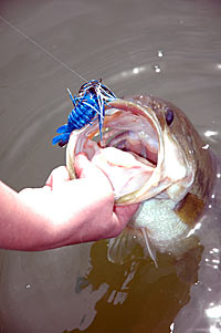 Jig fishing