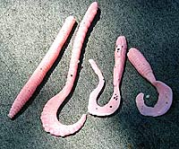 Making plastic worms