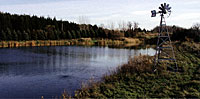Winter Pond Maintenance Winter Pond Maintenance