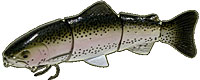 Castaic Swim Bait