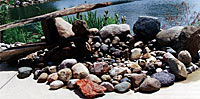 Designing a smallmouth bass nest for your pond deserves careful thought.