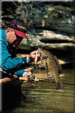 Smallmouth