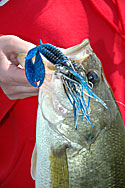spring jig fishing