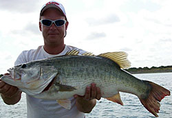 While this nearly 12 pounder was holding over 20 feet of water, she was suspended in timber only a few feet below the surface.