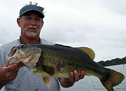 Jigging spoons aren�t just for numbers of keeper sized bass.