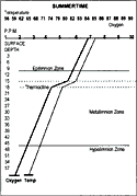Thermocline Thermocline