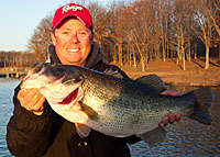 This 10 lb bass came on a Live Magic Shad swimbait fished at the mouth of a spawning bay.