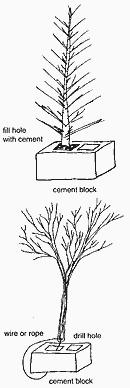 Christmas tree structure