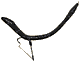 Wacky Worm