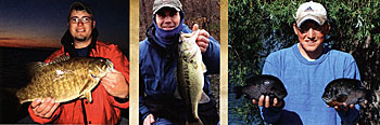Left: smallmouth bass. Middle: Largemouth bass. Right: Bluegills Left: smallmouth bass. Middle: Largemouth bass. Right: Bluegills