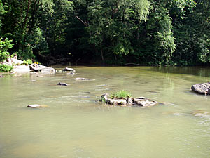 Lake Pollution