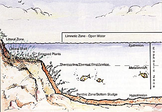 Lake Zones