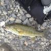 PB Smallmouth.jpg