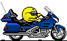 :biker-039: