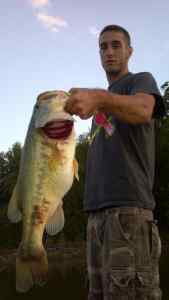 7lb2oz