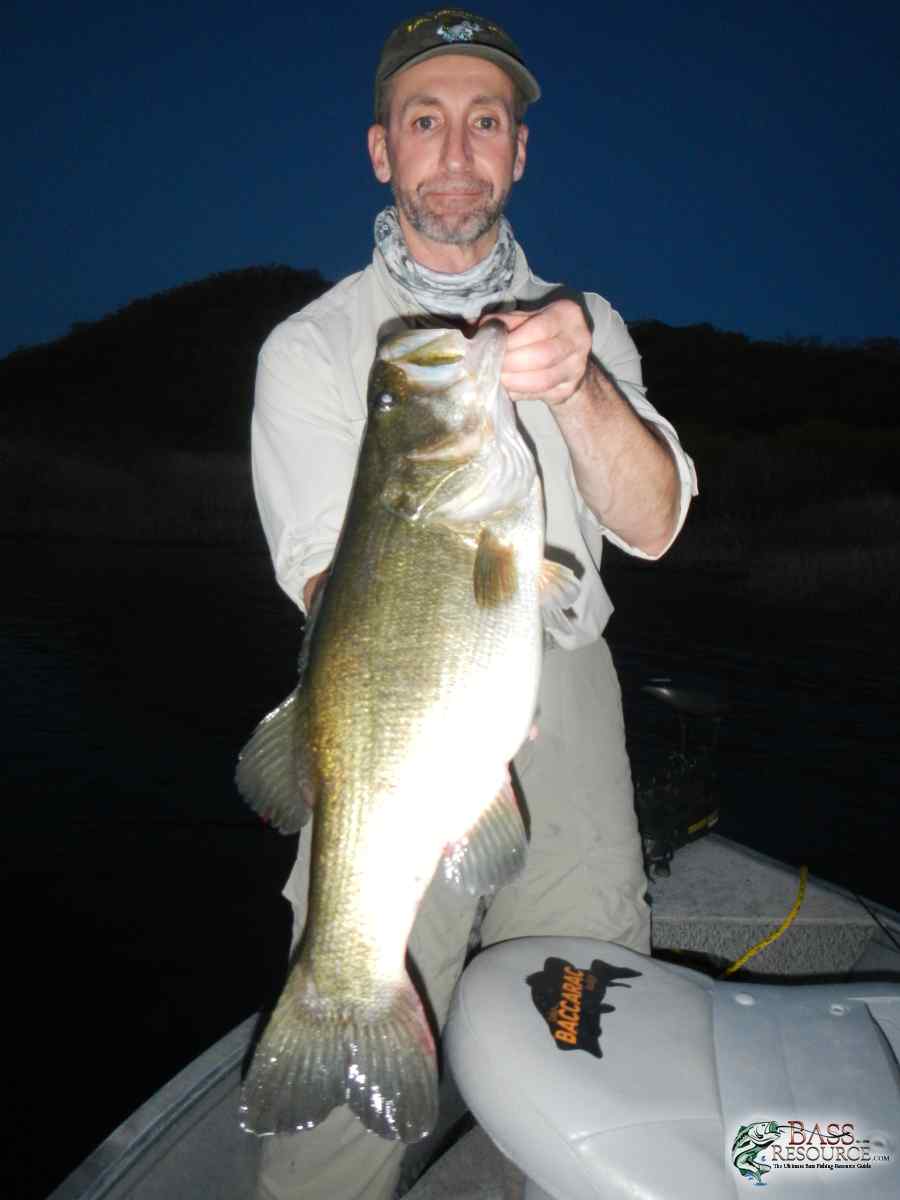 Last Cast 8